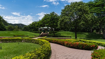 The meandering paths lead the visitors to explore and immerse in the beautiful arboretum.